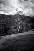 Espiritu