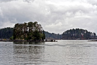 Sitka